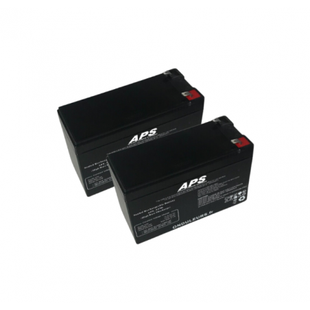 BATS219 - Kit batteries pour onduleur SELFPROTEC Mistral 1600 STE